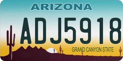AZ license plate ADJ5918