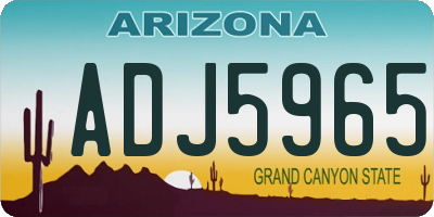 AZ license plate ADJ5965