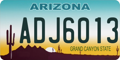 AZ license plate ADJ6013