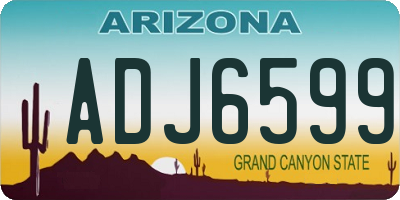 AZ license plate ADJ6599