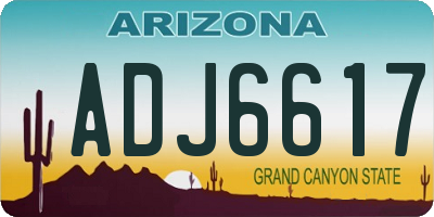 AZ license plate ADJ6617
