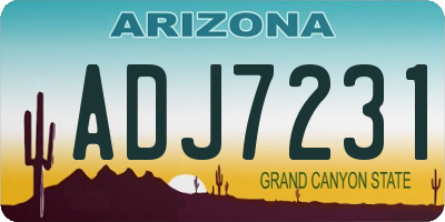 AZ license plate ADJ7231