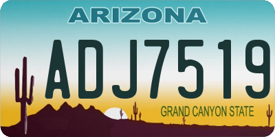 AZ license plate ADJ7519