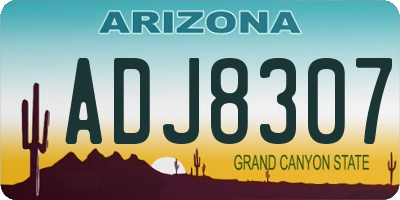 AZ license plate ADJ8307