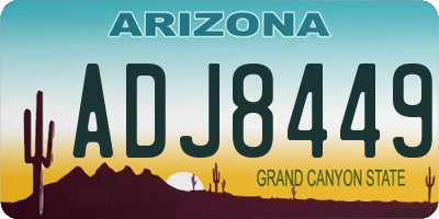 AZ license plate ADJ8449