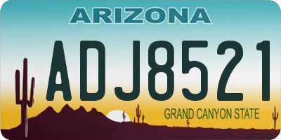 AZ license plate ADJ8521