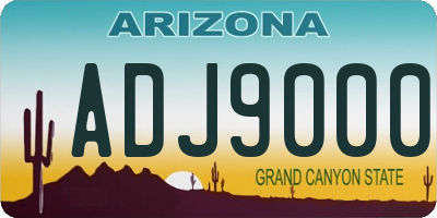 AZ license plate ADJ9000
