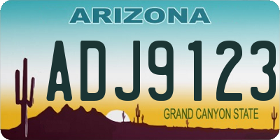 AZ license plate ADJ9123