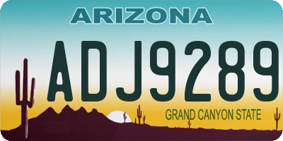 AZ license plate ADJ9289