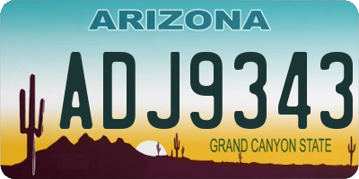 AZ license plate ADJ9343