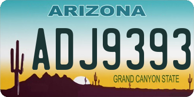 AZ license plate ADJ9393