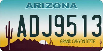 AZ license plate ADJ9513