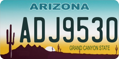 AZ license plate ADJ9530