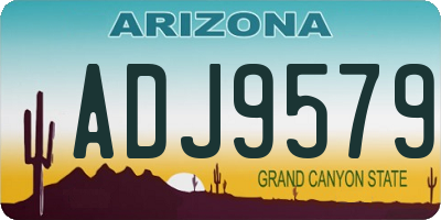 AZ license plate ADJ9579