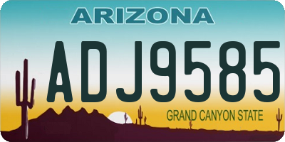 AZ license plate ADJ9585