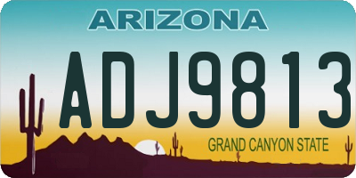 AZ license plate ADJ9813