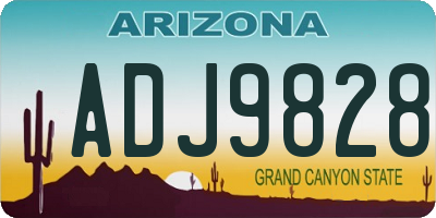 AZ license plate ADJ9828