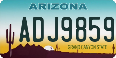 AZ license plate ADJ9859