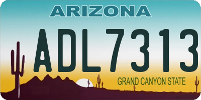 AZ license plate ADL7313