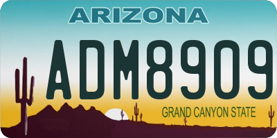 AZ license plate ADM8909