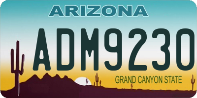 AZ license plate ADM9230