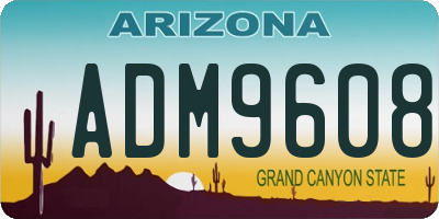 AZ license plate ADM9608