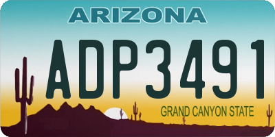 AZ license plate ADP3491