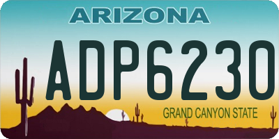AZ license plate ADP6230