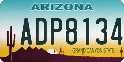 AZ license plate ADP8134