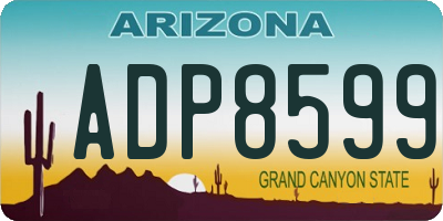 AZ license plate ADP8599