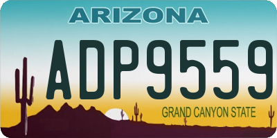 AZ license plate ADP9559