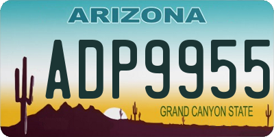 AZ license plate ADP9955