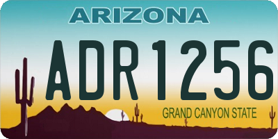 AZ license plate ADR1256