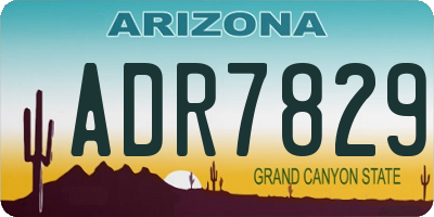 AZ license plate ADR7829