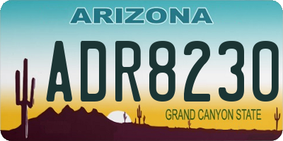 AZ license plate ADR8230