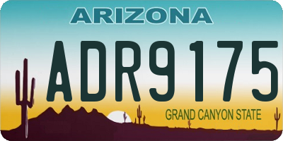 AZ license plate ADR9175