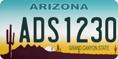 AZ license plate ADS1230