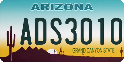 AZ license plate ADS3010