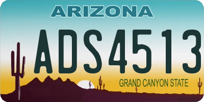 AZ license plate ADS4513