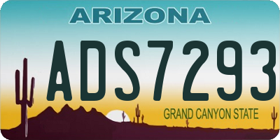AZ license plate ADS7293