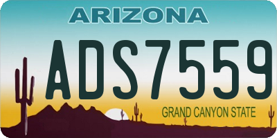 AZ license plate ADS7559