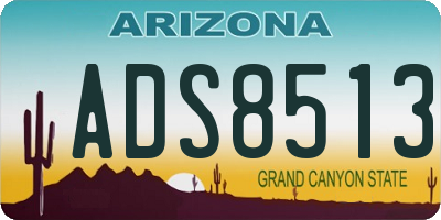 AZ license plate ADS8513