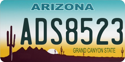 AZ license plate ADS8523