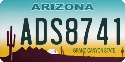 AZ license plate ADS8741