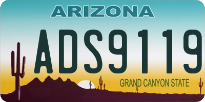AZ license plate ADS9119