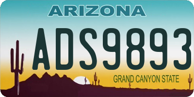 AZ license plate ADS9893