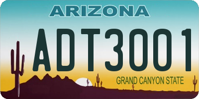 AZ license plate ADT3001