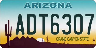AZ license plate ADT6307