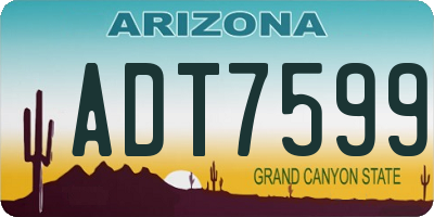 AZ license plate ADT7599