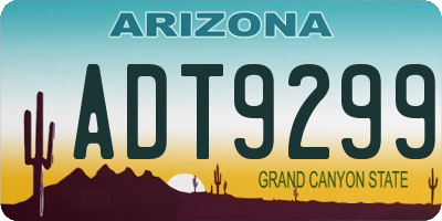 AZ license plate ADT9299